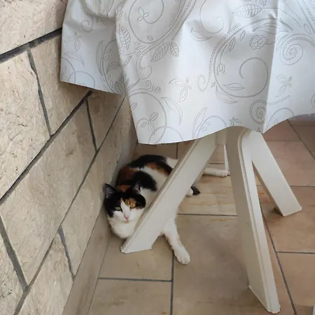 Appartement Valentino